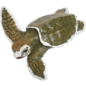 Safari Ltd. Kemp's Ridley Sea Turtle Baby Figurine - Lifelike 5"" Model Figure - Safari Ltd. Kemp's Ridley Sea Turtle Baby Figurine - Lifelike 5"" Model Figure -