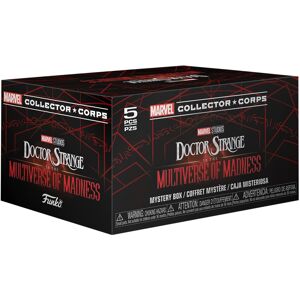 Funko Marvel Collector Corps Subscription Box Doctor Strange and The Multiverse Funko Marvel Collector Corps Subscription Box Doctor Strange and The Multiverse