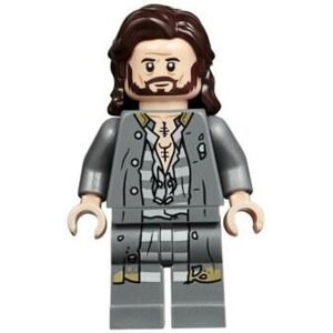 Lego Harry Potter Sirius Black Minifigure from 75945 Lego Harry Potter Sirius Black Minifigure from 75945