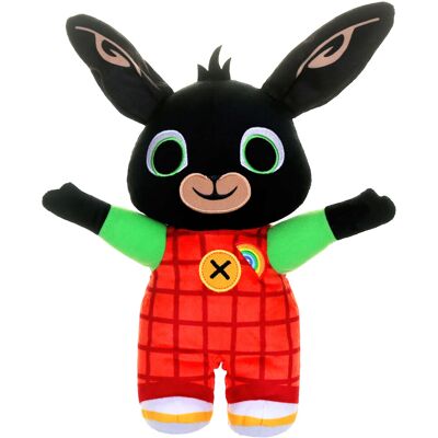 Bing, Talking Rainybow Teddy Bear. Interactive toys, Talking toys. Suitable kids Bing, Talking Rainybow Teddy Bear. Interactive toys, Talking toys. Suitable kids