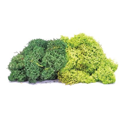 Hornby R7195 Large Green Mix - Model Railway Scenery Hornby R7195 Large Green Mix - Model Railway Scenery