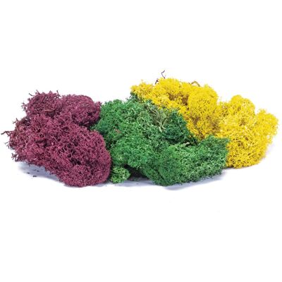 Hornby R7197 Lichen Large Autumn Mix - Model Train Accessory Hornby R7197 Lichen Large Autumn Mix - Model Train Accessory