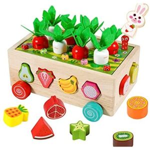 Kizmyee Shape Color Sorting - Montessori Toy Kizmyee Shape Color Sorting - Montessori Toy