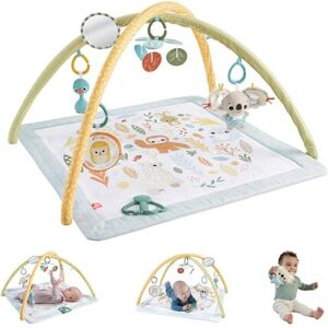 Fisher-Price Baby Playmat Simply Senses Newborn Gym with Mobile & Sensory Activi Fisher-Price Baby Playmat Simply Senses Newborn Gym with Mobile & Sensory Activi