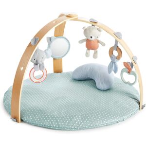 Ingenuity, Cosy Spot Reversible Duvet Activity Gym and Padded Play Mat with Wood Ingenuity, Cosy Spot Reversible Duvet Activity Gym and Padded Play Mat with Wood