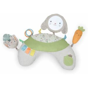 Ingenuity Sylvi Baby Tummy Time Support Mat - Baby Play Mat and Support Pillow Ingenuity Sylvi Baby Tummy Time Support Mat - Baby Play Mat and Support Pillow