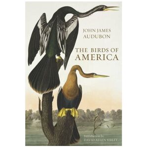 Unbranded The Birds of America Unbranded The Birds of America