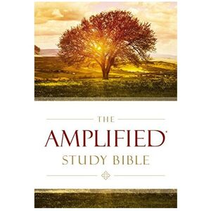 Unbranded Amplified Study Bible, Hardcover (Bible Amplified) Unbranded Amplified Study Bible, Hardcover (Bible Amplified)