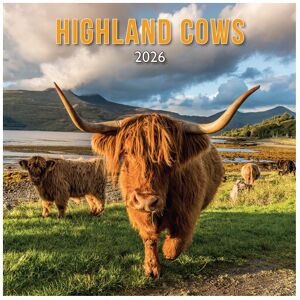 Lomond Books Scottish Calendar Highland Cow 2026 Lomond Books Scottish Calendar Highland Cow 2026