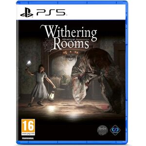 Playstation Withering Rooms (PS5) Playstation Withering Rooms (PS5)