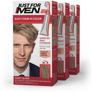Just for Men Easy Comb-In Color Mens Hair Dye Easy No Mix Application with Comb Just for Men Easy Comb-In Color Mens Hair Dye Easy No Mix Application with Comb