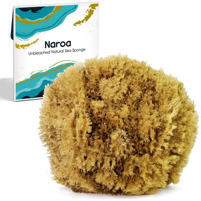 Naroa Exfoliating Natural Sponge for Bathing Bath Sea Sponge for Healthy Skin Naroa Exfoliating Natural Sponge for Bathing Bath Sea Sponge for Healthy Skin