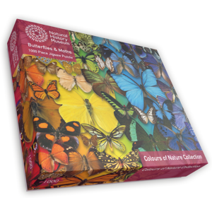 Natural History Museum - Butterflies & Moths 1000 Piece Jigsaw Puzzle Natural History Museum - Butterflies & Moths 1000 Piece Jigsaw Puzzle