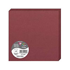 Clairefontaine 12180C Pack of 25 Double Cards Square Format 16x16cm 210gsm Burgundy colour Invitation Correspondence Cards Pollen range Smooth Premium Paper Clairefontaine 12180C Pack of 25 Double Cards Square Format 16x16cm 210gsm Burgundy colour Invitation Correspondence Cards Pollen range Smooth Premium Paper