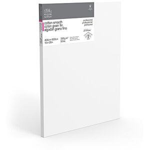 Winsor & Newton 16 x 20-Inch Professional Cotton Smooth Canvas (Pack of 1) Winsor & Newton 16 x 20-Inch Professional Cotton Smooth Canvas (Pack of 1)