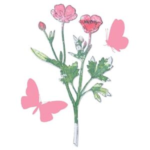 Sizzix Painted Pencil Botanical - Die & Stamp Set Sizzix Painted Pencil Botanical - Die & Stamp Set