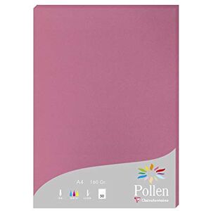 Clairefontaine 144281C Wallet of 50 Sheets Format A4 (21x29,7cm) 160gsm Colour Hydrangea Pink Invitation Paper Events Correspondence Pollen Range Premium Paper Clairefontaine 144281C Wallet of 50 Sheets Format A4 (21x29,7cm) 160gsm Colour Hydrangea Pink Invitation Paper Events Correspondence Pollen Range Premium Paper