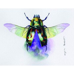 Clairefontaine Ref 93422C Etival Cold Pressed Sheets for Watercolour Painting & Drawing (10 Sheets of Paper) 56 x 76cm 300gsm Cellulose Art Paper, White Clairefontaine Ref 93422C Etival Cold Pressed Sheets for Watercolour Painting & Drawing (10 Sheets of Paper) 56 x 76cm 300gsm Cellulose Art Paper, White