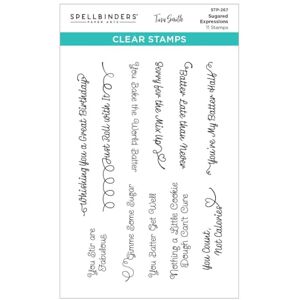 Spellbinders Sugared Expressions Clear Stamp Set by Tina Smith Spellbinders Sugared Expressions Clear Stamp Set by Tina Smith