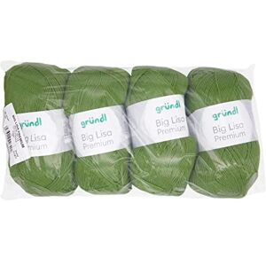 Gründl Big Lisa Premium Knitting & Crochet Yarn (Easy Care 100% Polyacrylic Yarn, 250 g/665 m, Needle Size: 3.5-4.5, 4 Balls of 250 g) Green, May Green Gründl Big Lisa Premium Knitting & Crochet Yarn (Easy Care 100% Polyacrylic Yarn, 250 g/665 m, Needle Size: 3.5-4.5, 4 Balls of 250 g) Green, May Green