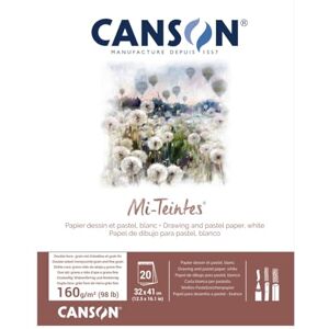 Canson Mi-Teintes Coloured Drawing 160gsm 32x41cm Paper Pad, Double Sided: Honeycomb & Fine Grain, Pad Glued Short Side, White, 20 Sheets, For Professional Artists & Illustrators Canson Mi-Teintes Coloured Drawing 160gsm 32x41cm Paper Pad, Double Sided: Honeycomb & Fine Grain, Pad Glued Short Side, White, 20 Sheets, For Professional Artists & Illustrators