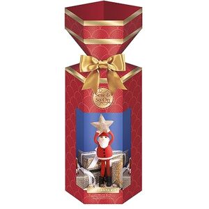 Sew & So On Felt Santa with Star Felting Craft Making Kit, All The Craft Supplies Needed, for Adults & Kids, Whether Beginners Or Experienced Crafters, Includes All Accessories, Perfect Crafts Gift Sew & So On Felt Santa with Star Felting Craft Making Kit, All The Craft Supplies Needed, for Adults & Kids, Whether Beginners Or Experienced Crafters, Includes All Accessories, Perfect Crafts Gift