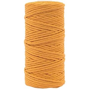 Creative Labs Macrame Yarn, Ochre Yellow, 3 mm x 100 m, 100% Cotton, Available in Colours, DIY, Crafts of Decoration Basket, Wall Hanging, Lantern, Dream Catcher, 3mm x 100m Creative Labs Macrame Yarn, Ochre Yellow, 3 mm x 100 m, 100% Cotton, Available in Colours, DIY, Crafts of Decoration Basket, Wall Hanging, Lantern, Dream Catcher, 3mm x 100m