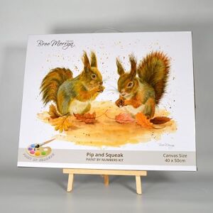 Bree Merryn Paint by Numbers 40cm x 50cm Acrylic Paints on Canvas kit Pip & Squeak Bree Merryn Paint by Numbers 40cm x 50cm Acrylic Paints on Canvas kit Pip & Squeak