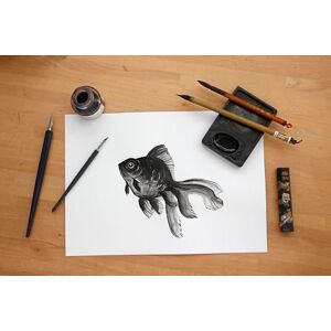 Clairefontaine Ref 975192C Lavis Dessin Technical Drawing Sheets (10 Sheets) A2 (594 x 420mm) Size, 160gsm Paper, Smooth Surface with Light Grain, Acid Free, pH Neutral Clairefontaine Ref 975192C Lavis Dessin Technical Drawing Sheets (10 Sheets) A2 (594 x 420mm) Size, 160gsm Paper, Smooth Surface with Light Grain, Acid Free, pH Neutral