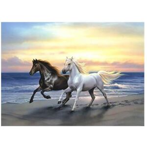 Pracht Creatives Hobby Diamond Painting Set, Horse on The Beach and Accessories, Craft Kit for Painting with Rhinestones, for Children from 5 Years Pracht Creatives Hobby Diamond Painting Set, Horse on The Beach and Accessories, Craft Kit for Painting with Rhinestones, for Children from 5 Years