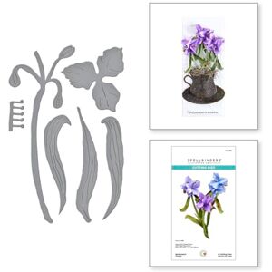 Spellbinders Spiderwort Etched Dies from The Through The Meadow Collection by Susan Tierney-Cockburn Spellbinders Spiderwort Etched Dies from The Through The Meadow Collection by Susan Tierney-Cockburn