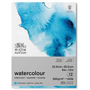 Winsor & Newton Watercolour Paper 22.9 cm x 30.5 cm x 9 in x 12 in Winsor & Newton Watercolour Paper 22.9 cm x 30.5 cm x 9 in x 12 in