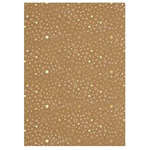 Ursus 62264604F Christmas Design Cardboard, 25 Sheets, Kraft Card, 250 g/m², DIN A4, Foil-Coated on One Side with Golden Stars, Colourful Ursus 62264604F Christmas Design Cardboard, 25 Sheets, Kraft Card, 250 g/m², DIN A4, Foil-Coated on One Side with Golden Stars, Colourful