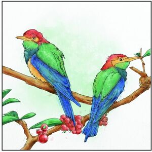 Crafter's Companion Aqua Dual Tip Watercolour Markers Vivid Nature by Spectrum Noir Crafter's Companion Aqua Dual Tip Watercolour Markers Vivid Nature by Spectrum Noir