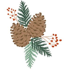 Sizzix Clear Layered Stamps Pine Branches by Lisa Jones Cling Rubber Stamps for Scrapbooking, Cardmaking, Home Décor and More Sizzix Clear Layered Stamps Pine Branches by Lisa Jones Cling Rubber Stamps for Scrapbooking, Cardmaking, Home Décor and More