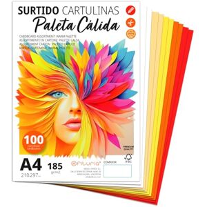 OFITURIA A4 Coloured Card 185gsm for Crafts, Education, Home, Art or Business Warm Assortment of 100 Cards OFITURIA A4 Coloured Card 185gsm for Crafts, Education, Home, Art or Business Warm Assortment of 100 Cards
