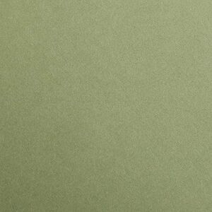 Clairefontaine Ref 48070C Maya Coloured Smooth Drawing Paper (Pack of 25 Sheets) 270gsm Paper A3 (42 x 29.7cm) Khaki Colour Deep Dyed, Acid Free, pH Neutral Clairefontaine Ref 48070C Maya Coloured Smooth Drawing Paper (Pack of 25 Sheets) 270gsm Paper A3 (42 x 29.7cm) Khaki Colour Deep Dyed, Acid Free, pH Neutral