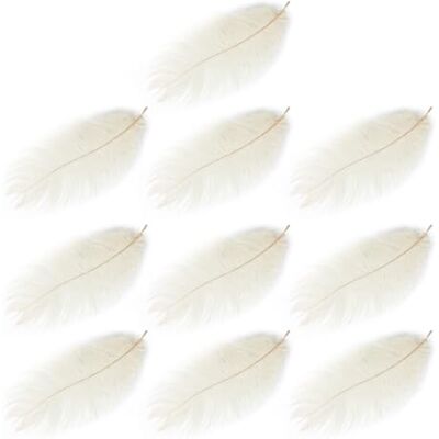Lotsdonxia 10 Pcs Natural Ostrich Feathers 20-25cm – Premium Plumes for Wedding, Party, and Home Decoration, DIY Craft Projects (White) Lotsdonxia 10 Pcs Natural Ostrich Feathers 20-25cm – Premium Plumes for Wedding, Party, and Home Decoration, DIY Craft Projects (White)