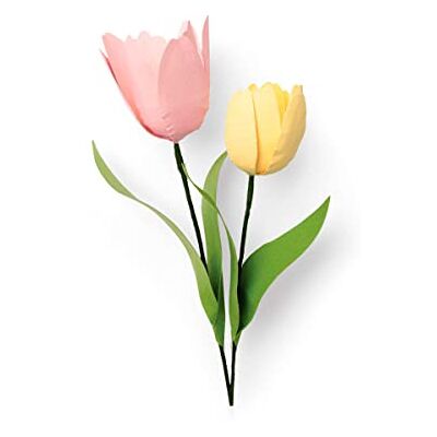 Sizzix Thinlits Die Set 8 Pack 664390 Tulip by Jennifer Ogborn Sizzix Thinlits Die Set 8 Pack 664390 Tulip by Jennifer Ogborn