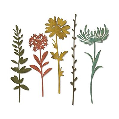 Sizzix Thinlits Die Set 5PK Wildflower Stems #1, Multi-colour Colour Sizzix Thinlits Die Set 5PK Wildflower Stems #1, Multi-colour Colour
