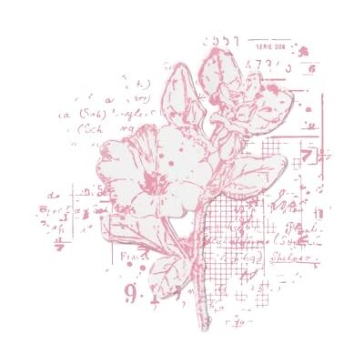 Sizzix Framelits Dies & Stamps Floral Mix Cluster by 49 and Market, Clear/Silver Sizzix Framelits Dies & Stamps Floral Mix Cluster by 49 and Market, Clear/Silver