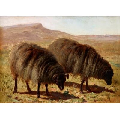 DTAUPREB Paint by Numbers Kit for Adults Two Sheep,Painting Kits Painting by Number, With Brushes and Acrylic Pigment, On Canvas,Gift Idea DTAUPREB Paint by Numbers Kit for Adults Two Sheep,Painting Kits Painting by Number, With Brushes and Acrylic Pigment, On Canvas,Gift Idea