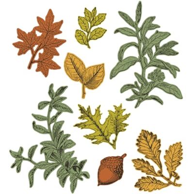 Sizzix - Forever Leaves by 49 and Market - 16-Piece Sizzix - Forever Leaves by 49 and Market - 16-Piece