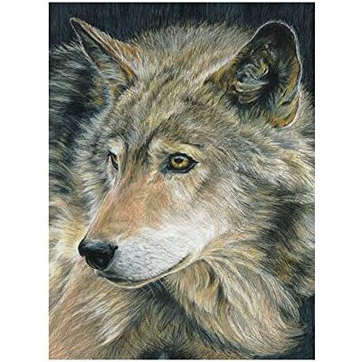 Pracht Creatives Hobby 4677-30011 Painting by Numbers Colouring Pencils Wolf Pracht Creatives Hobby 4677-30011 Painting by Numbers Colouring Pencils Wolf