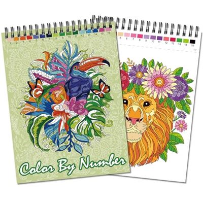 Jadeso Colour by Numbers Adult Colouring Book Jadeso Colour by Numbers Adult Colouring Book