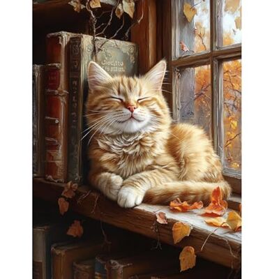 Jakener Book Cat Paint by Numbers Kit for Adults Beginner,Easy Adult Paint by Number Kits on Canvas DIY Painting for Beginners Art by Numbers for Home Wall Decor 16x20 Jakener Book Cat Paint by Numbers Kit for Adults Beginner,Easy Adult Paint by Number Kits on Canvas DIY Painting for Beginners Art by Numbers for Home Wall Decor 16x20