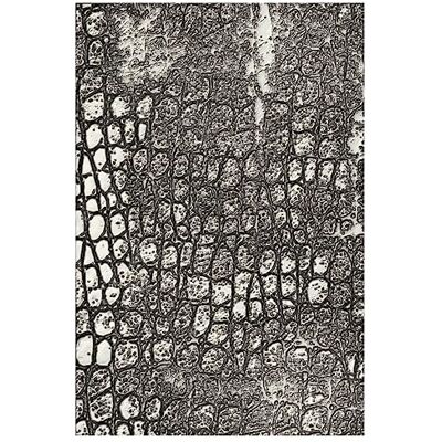 Sizzix 3-D Texture Fades Embossing Folder Reptile by Tim Holtz Sizzix 3-D Texture Fades Embossing Folder Reptile by Tim Holtz