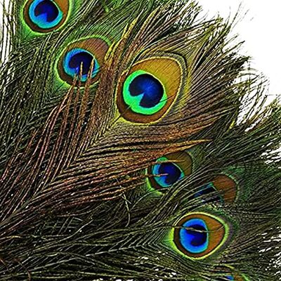 Decorative_ beauty Natural Peacock Feathers with Eye Peacock Tail Feathers 10-12inch (25-30cm) for DIY Craft, Jewelry Decorative Fittings Wedding Party Arts And Crafts Home Decorations,100 Pcs Decorative_ beauty Natural Peacock Feathers with Eye Peacock Tail Feathers 10-12inch (25-30cm) for DIY Craft, Jewelry Decorative Fittings Wedding Party Arts And Crafts Home Decorations,100 Pcs