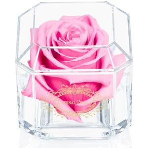 Eternal Petals 100% Real Rose That Lasts A Year Single Pink Rose in Box Unique Birthday Gift Eternal Petals 100% Real Rose That Lasts A Year Single Pink Rose in Box Unique Birthday Gift