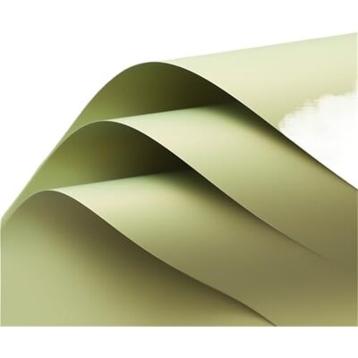 FVDZRFIE Bouquet Wrapping Paper 20pcs Thickening Waterproof Solid Color Flower Wrapping Paper For Florist Packaging Film For Flowers FVDZRFIE Bouquet Wrapping Paper 20pcs Thickening Waterproof Solid Color Flower Wrapping Paper For Florist Packaging Film For Flowers